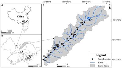 Dispersal limitation determines the ecological processes that regulate the seasonal assembly of bacterial communities in a subtropical river